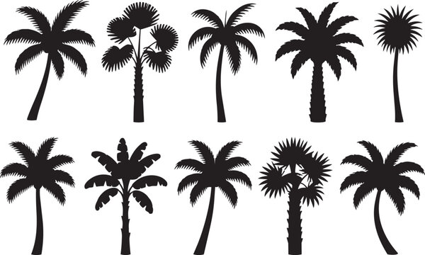 Set of Tropical Palm Tree Silhouettes Vector Illustration with Coconut Palms Beach Island Summer Paradise Ocean Sunset Nature Landscape Design Collection