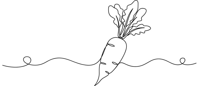 Carrot emerging from ground in continuous line illustration, none editable strokes