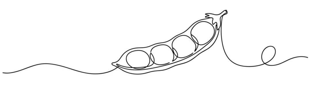 Pea pod containing peas on continuous line in white space, none editable strokes