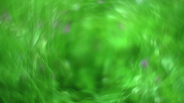 serene grass field in natural environment with top-down perspective and green and black colors, peaceful outdoor setting for nature background and environmental theme.