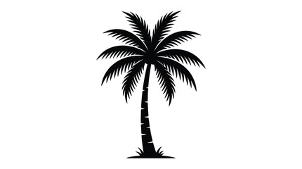 Palm tree silhouette against a white background tropical vegetation design © MDKHALILULUR