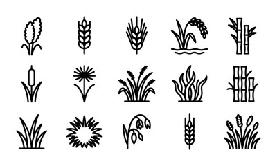 Vector Icons: Wheat, Grass, Reed, Bamboo, Plants, Agriculture, Nature, Botanical Elements © Rafi