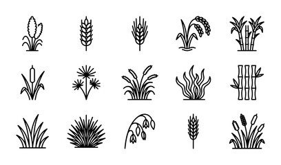 15 Outline Plant Icons: Wheat, Reed, Bamboo, Grass, Flowers, Botanical Elements © sogir