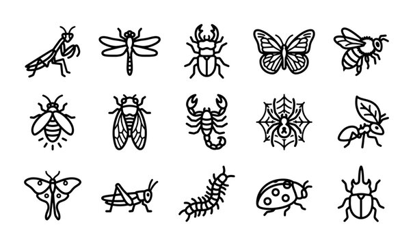 Insect Icons Vector Set, Small Creature Graphics, Nature Wildlife Illustrations, Entomology Art