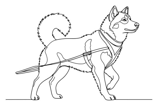 Husky sled dog wearing harness in continuous line art style