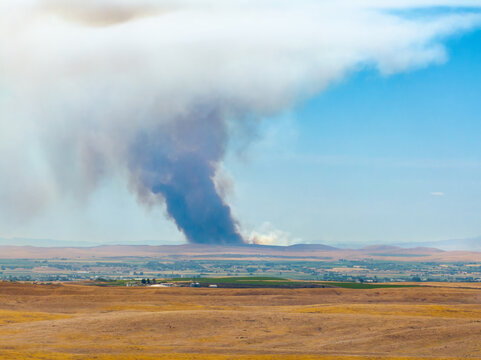 Large smoke column dominates the sky