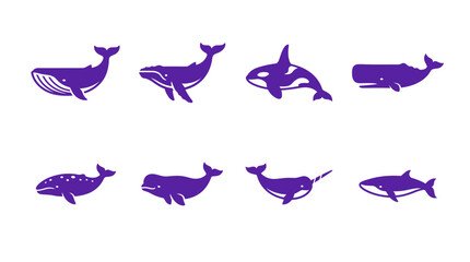 Set of Whale and Dolphin Icons, Marine Mammals Collection © NYN_ART