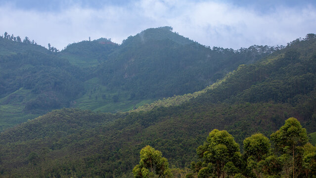 Panoramic View of Misty Hills and Lush Green Valleys in Munnar, Kerala, India