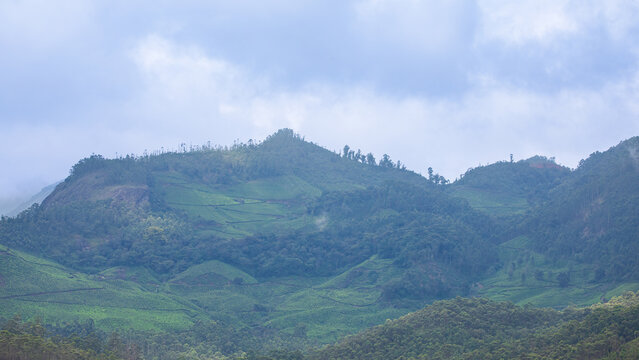 Panoramic View of Misty Hills and Lush Green Valleys in Munnar, Kerala, India