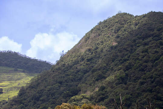 Cloud-Covered Mountain Landscape in Munnar, Kerala