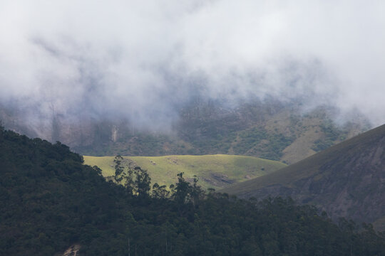 Cloud-Covered Mountain Landscape in Munnar, Kerala