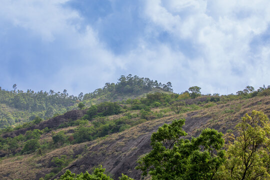 Cloud-Covered Mountain Landscape in Munnar, Kerala