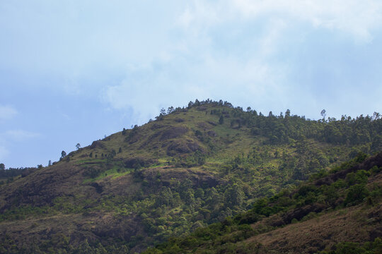 Cloud-Covered Mountain Landscape in Munnar, Kerala