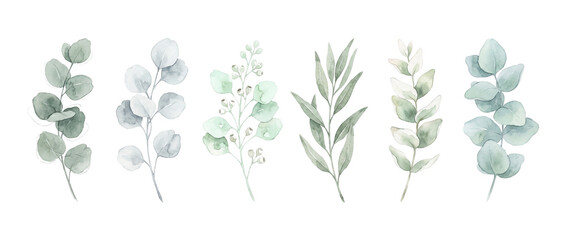 Watercolor eucalyptus leaves branch set on black background, elegant botanical foliage illustration, hand painted sage green leaf collection for wedding design, rustic floral elements clip art clipart © Fernando