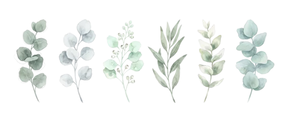 Watercolor eucalyptus leaves branch set on black background, elegant botanical foliage illustration, hand painted sage green leaf collection for wedding design, rustic floral elements clip art clipart © Fernando