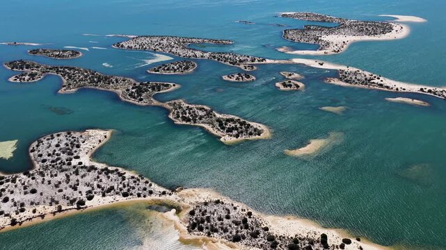 Dunes Of Old Chico In Casa Nova Bahia Brazil. Unique Landscape Of White Sand Dunes And Crystal-Clear Lagoons. Tropical Eco Tourism. Amazon Forest. Casa Nova Bahia.