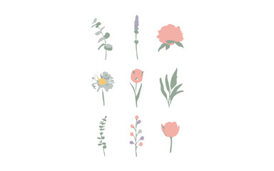 Obraz premium A collection of nine delicate floral illustrations, featuring various plants and flowers with soft pastel colors.