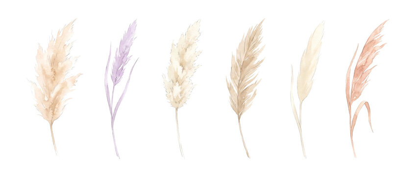Watercolor pampas grass clip art set, isolated boho dried botanical elements on white background. Neutral beige, lavender, and terracotta dried reed illustration for wedding invitation decor.