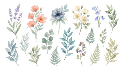 Naklejka premium Watercolor botanical collection of wildflowers, leaves, and berries isolated on transparent background