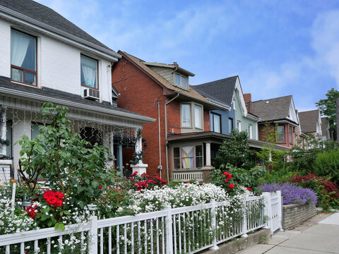 residential street with flowers in small front gardens