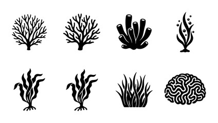 Set of 8 Black and White Vector Icons: Diverse Marine Flora, Underwater Plants, Seaweed, Coral Reef Elements © Faruk