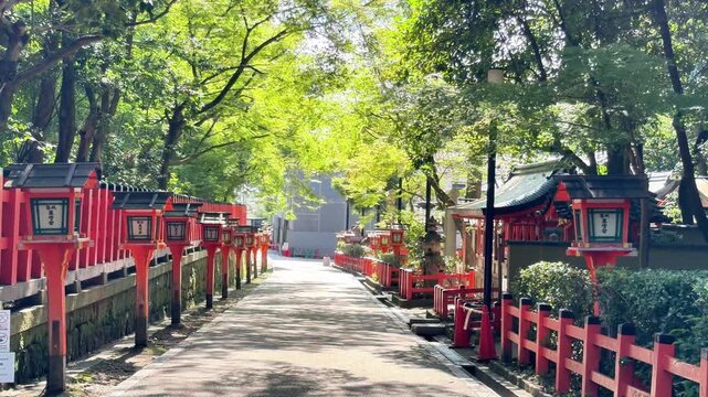 Symmetrical Japanese shrine walkway lined with red lanterns