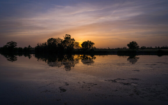 Reflection of trees at sunset on a little river.