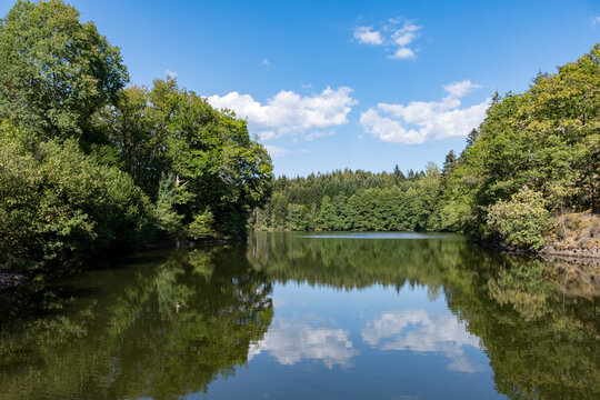 Etang au milieu d'une for&ecirc;t