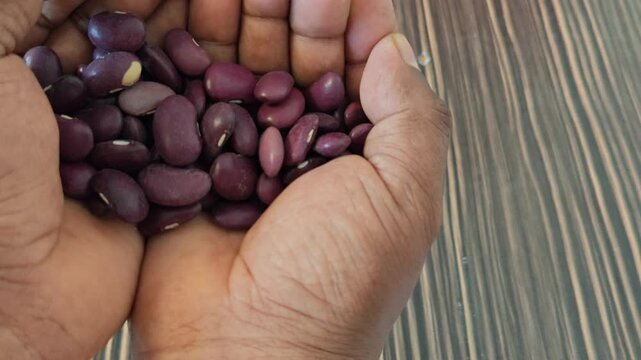 Throwing ayocote beans onto a wooden table surface