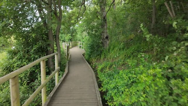 Point of View gimbal stabalised walking footage - storm is rolling in, wind is getting up, you can see it in the trees as we walk through.