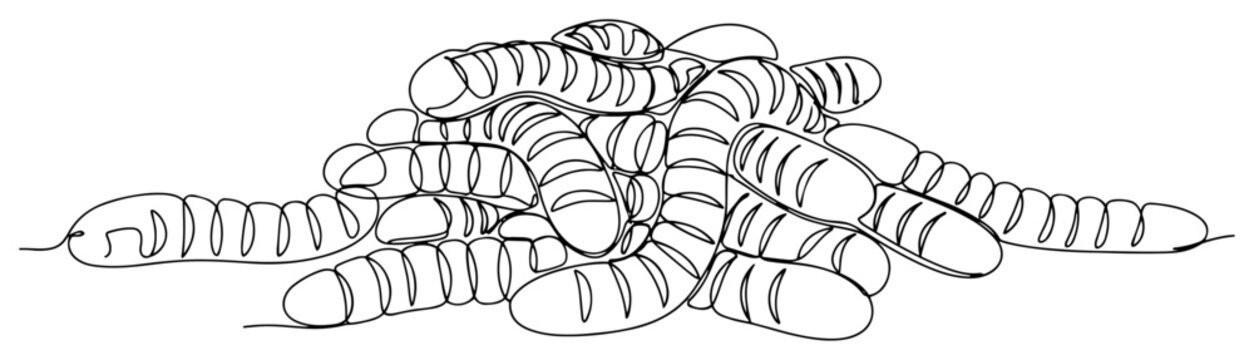 Worms crawling together in a large pile continuous line art style