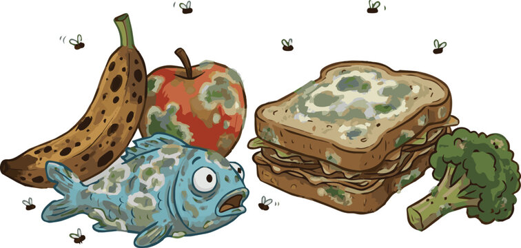Spoiled food items including fish, sandwich, and fruit are infested with flies.