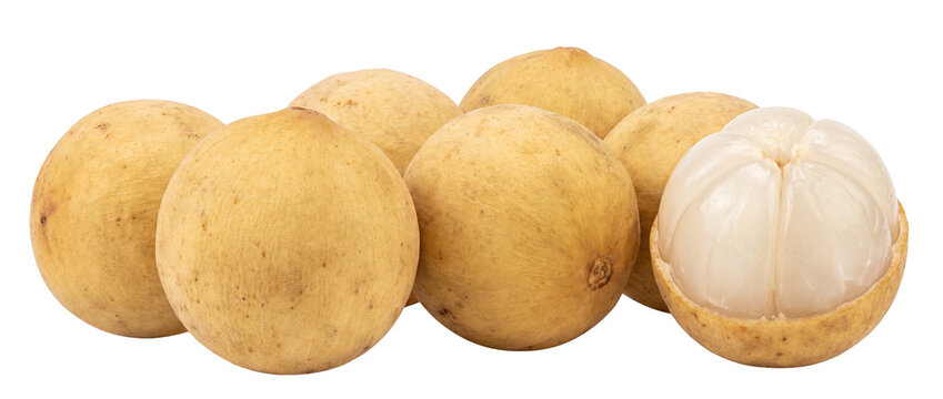 Langsat fruit fresh duku lansones whole and peeled showing sweet white flesh on black background. Tropical asian exotic plant studio shot isolated object for food packaging and culinary design.
