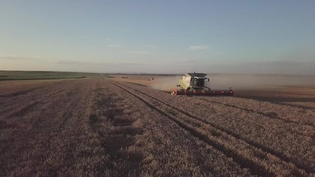 Aerial Drone Panning Shot Following Combine Harvester in Harvested Field at Sunset