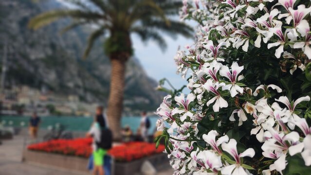 Limone sul Garda