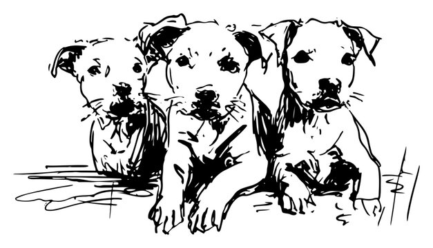 Three adorable puppies sitting together in charming charcoal sketch style