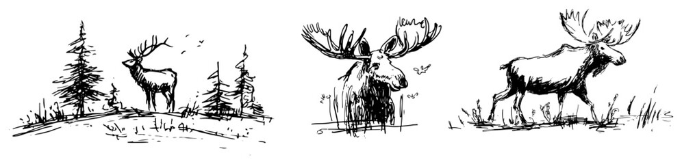 Fototapeta premium Deer standing among pines and moose in a forest habitat sketch style