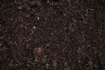 Naklejka premium Close-up of moist, fertile garden soil