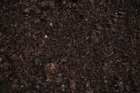 Close-up of moist, fertile garden soil