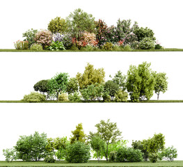 Fototapeta premium Plants, shrubs, and bushes isolated on transparent background. 3D render.