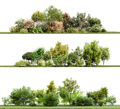 Plants, shrubs, and bushes isolated on transparent background. 3D render.