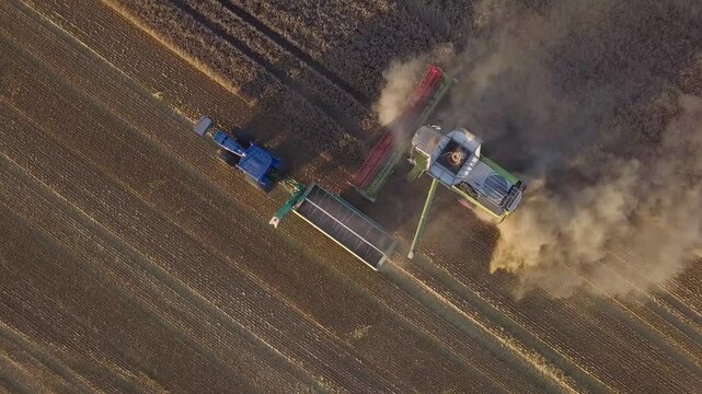 Aerial View: Tractor with Full Grain Trailer Detaching and Driving Away from Combine Harvester