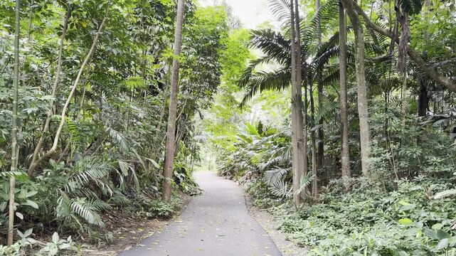 Ho'omaluhia Botanical Garden, Honolulu, Oahu, Hawaii. Koʻolau Range (koʻolau means "windward" in Hawaiian[a]) is the dormant fragmented remnant of the eastern or windward shield volcano