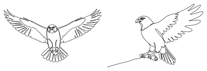 Fototapeta premium Falcon or hawk bird of prey flying and perched in continuous line art style