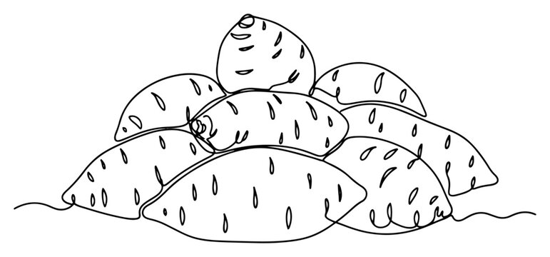 Sweet potato pile of organic yam root vegetables in continuous line art style