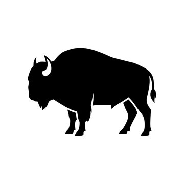 American bison or buffalo walking side profile vector