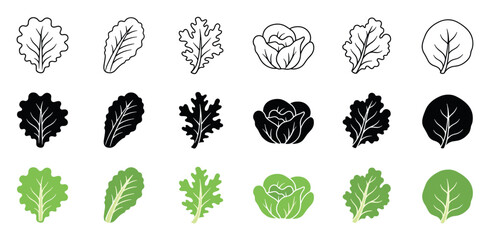 Fototapeta premium Salad greens and lettuce leaf vector icons set featuring outline, silhouette, and green color variations of kale, spinach, and cabbage