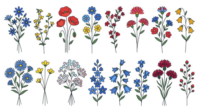 Conjunto de ilustra&ccedil;&otilde;es vetoriais de flores silvestres desenhadas &agrave; m&atilde;o, apresentando uma variedade de buqu&ecirc;s coloridos e plantas bot&acirc;nicas isoladas em um fundo branco limpo.