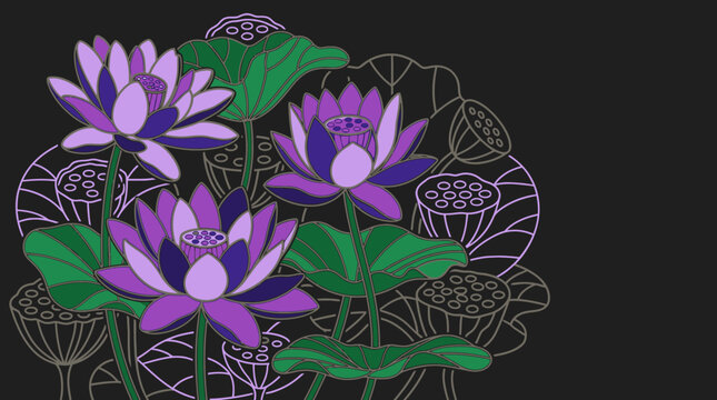 Illustration vectorielle &eacute;l&eacute;gante de fleurs de lotus violettes avec des feuilles vertes et des contours lin&eacute;aires sur un fond sombre, parfaite pour un design floral sophistiqu&eacute;.