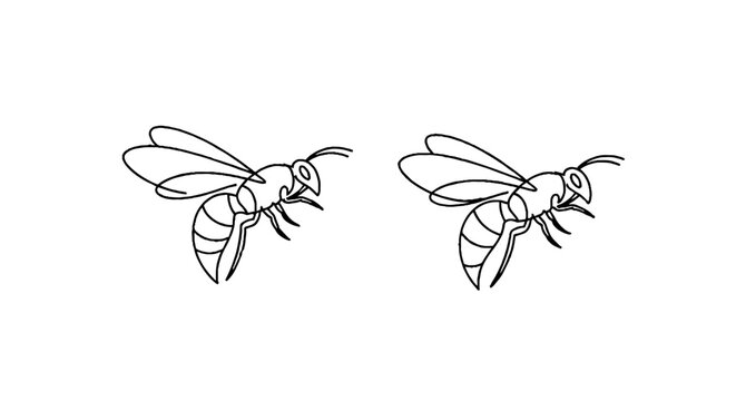 Two bees flying in opposite directions illustration.